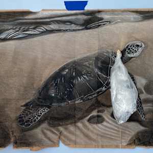 Paper bag or plastic bag by mohamed ali