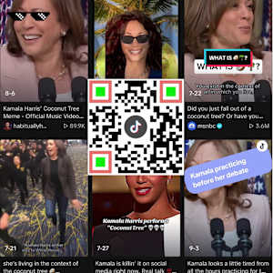 QR Election/Selection/Collection by G.H. Hovagimyan  Image: Coconut Controversy
