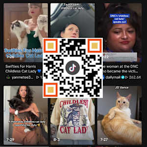 QR Election/Selection/Collection by G.H. Hovagimyan  Image: Childless Cat Ladies