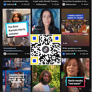QR Election/Selection/Collection by G.H. Hovagimyan  Image: Kamela Impersonators