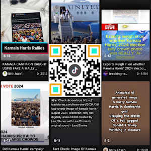 QR Election/Selection/Collection by G.H. Hovagimyan  Image: Crowd Size
