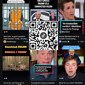 QR Election/Selection/Collection by G.H. Hovagimyan  Image: Convicted Felon