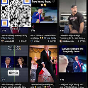QR Election/Selection/Collection by G.H. Hovagimyan  Image: Eating Cats & Dogs Song