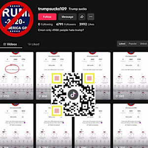QR Election/Selection/Collection by G.H. Hovagimyan  Image: Trump Sucks