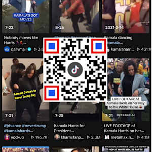 QR Election/Selection/Collection by G.H. Hovagimyan  Image: Kamela Dancing