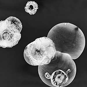 Flare 2 by Beth Dary