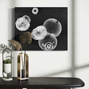 Flare 2 by Beth Dary, Image 3.