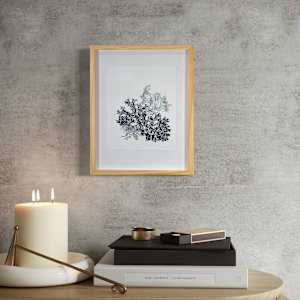 Lichen 4 Ways by Allison Belolan 