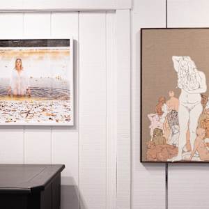 Copious by Allison Belolan, Image 5.