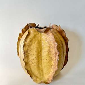 Fritillaria by Yvonne Schmitz, Image 1.
