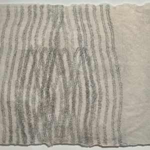 Double Vision by Amy Kupferberg, Image 1.