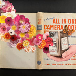 All in One Camera Book by Susan Lerner