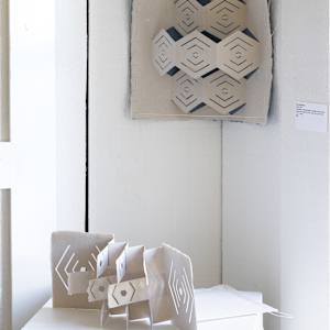 Flex Hex by Amy Kupferberg 