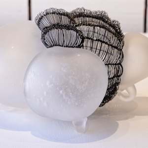 Caged 1 by Beth Dary 