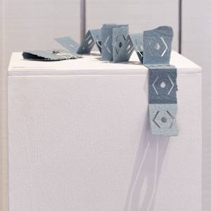 Snake Book by Amy Kupferberg 