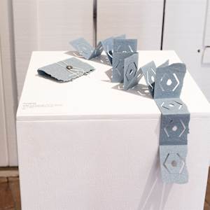 Snake Book by Amy Kupferberg 