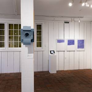 Alveolus by Amy Kupferberg 