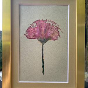 A Quiet Bloom by Anne Doyle