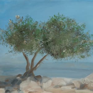 Carob Tree Mount Arbel by Rita Adams