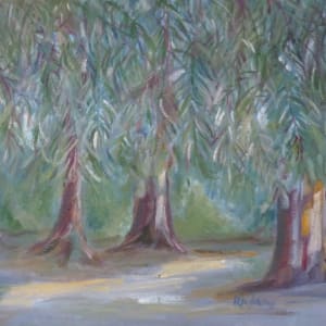 Eucaliptus JR Park by Rita Adams