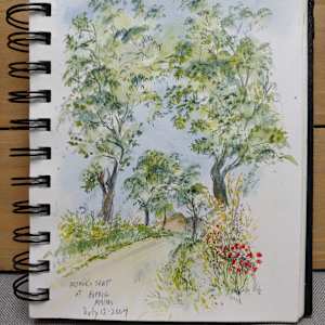 Journal 34 by Betty Guy 