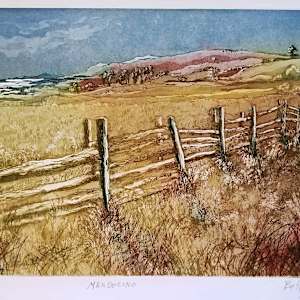 Mendocino by Betty Guy