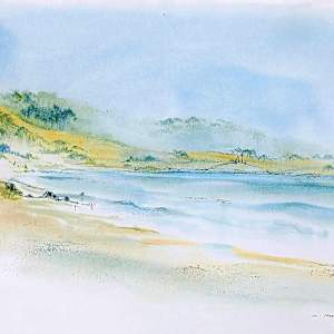 In Marin by Betty Guy