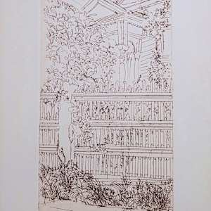 My House On Ripley St by Betty Guy