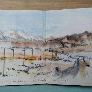 Journal 9 by Betty Guy 
