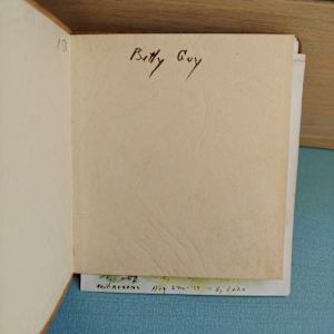Journal 1 by Betty Guy 