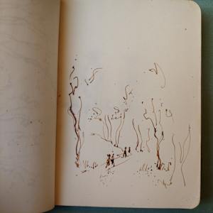 Journal 5 by Betty Guy 