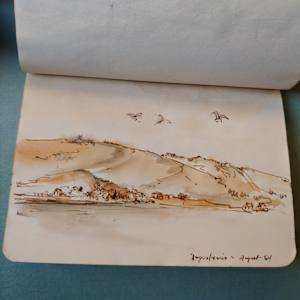 Journal 6 by Betty Guy 