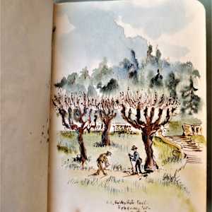 Journal 6 by Betty Guy 