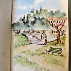 Journal 6 by Betty Guy 