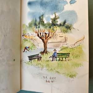 Journal 6 by Betty Guy 