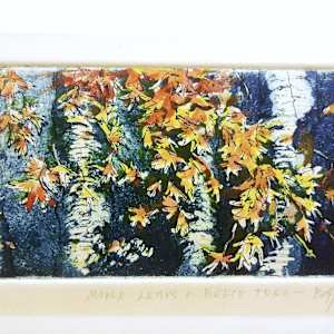 Maple Leaves + Beech Tree by Betty Guy