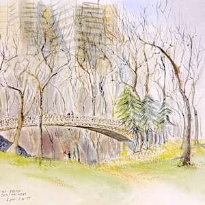 The Pine Bridge - Central Park by Betty Guy