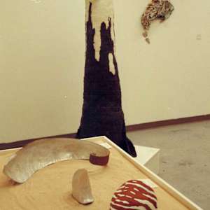 Nautilus with Curvature and Shell Ceramics (Trunk Column and Grief in background) by Wren Woodward Sarrow, Image 1.