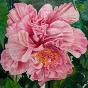 Hibiscus Pink by Wren Sarrow 