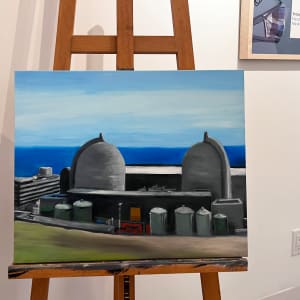 Three Million Homes by Wren Woodward Sarrow 