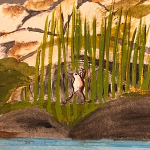 Rachel Carson Testing The Water by Wren Woodward Sarrow 