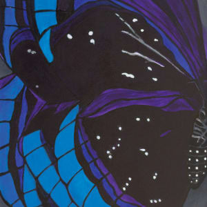 Blue Butterflies by Wren Sarrow