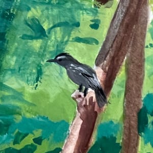 Rachel Carson Testing The Water by Wren Woodward Sarrow 