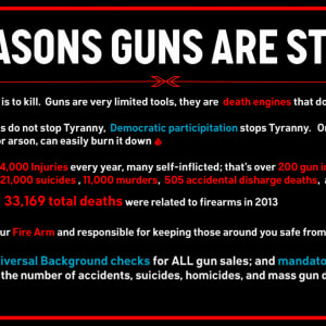 3 Reasons Guns Are Stupid by Wren Sarrow
