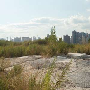 Construction Burial Sites: This Immense, Organic Sprawl by Marisa Tesauro  Image: Landscape view