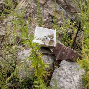 Construction Burial Sites: This Immense, Organic Sprawl by Marisa Tesauro  Image: Detail 