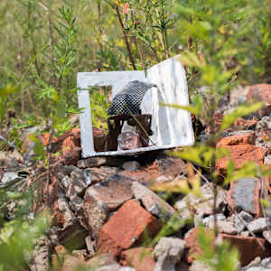 Construction Burial Sites: This Immense, Organic Sprawl by Marisa Tesauro  Image: Detail 