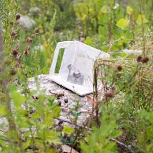 Construction Burial Sites: This Immense, Organic Sprawl by Marisa Tesauro  Image: Detail 