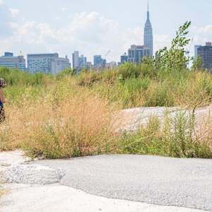 Construction Burial Sites: This Immense, Organic Sprawl by Marisa Tesauro  Image: Installation view
