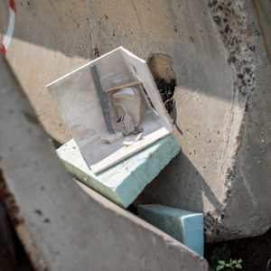Construction Burial Sites: This Immense, Organic Sprawl by Marisa Tesauro  Image: Detail 